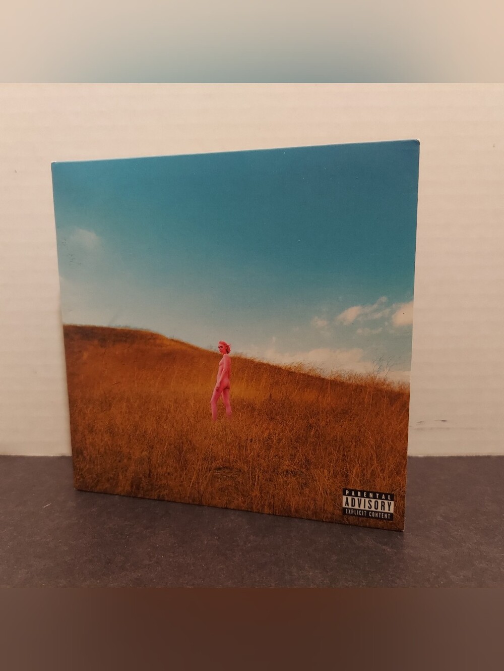 The Regrettes Further Joy Cd Warner Records 2022 The Regrettes Cd Lp Album